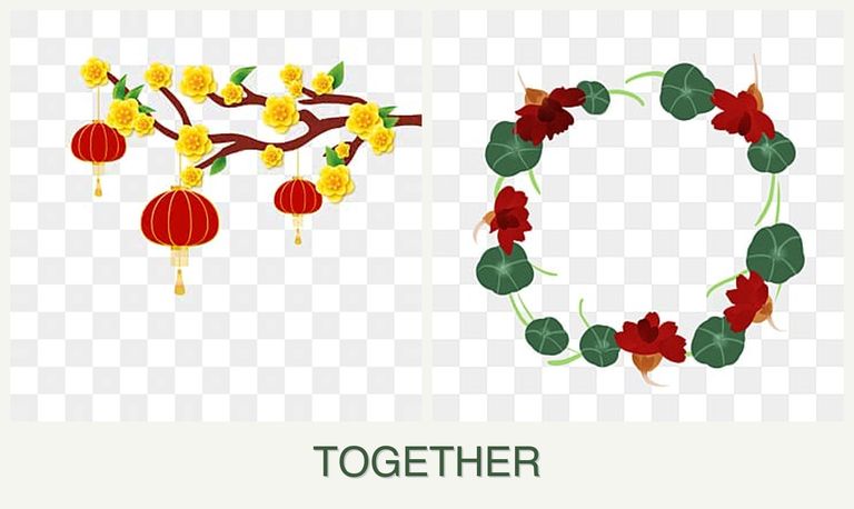 Can you plant apricots and nasturtiums together?