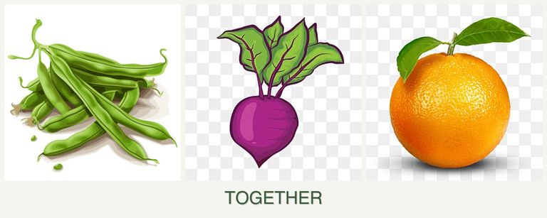 Can you plant beans, beets and oranges together?