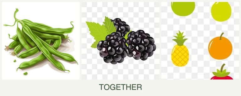 Can you plant beans, blackberries and pears together?