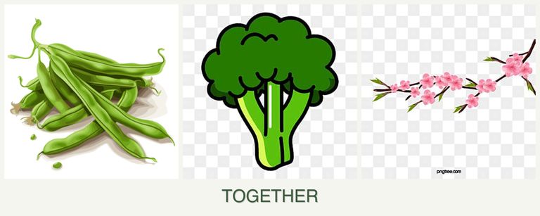 Can you plant beans, broccoli and peaches together?