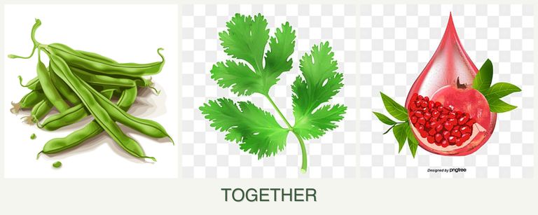 Can you plant beans, parsley and pomegranates together?