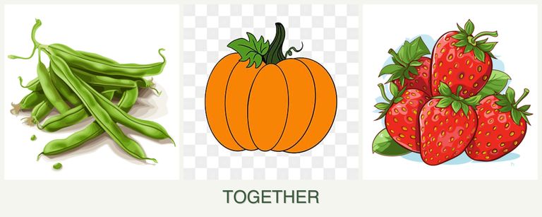 Can you plant beans, pumpkin and strawberries together?