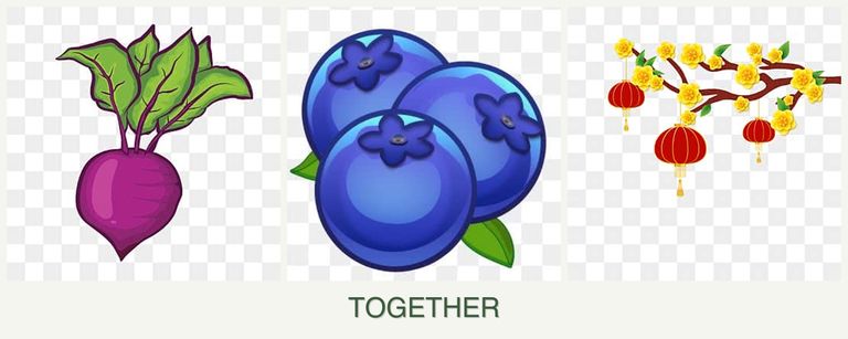 Can you plant beets, blueberries and apricots together?