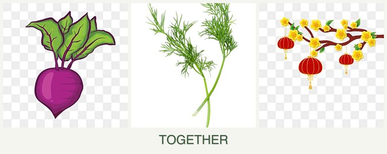Can you plant beets, dill and apricots together?