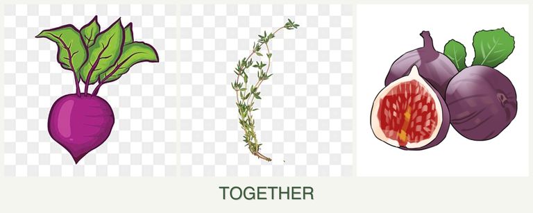 Can you plant beets, thyme and figs together?