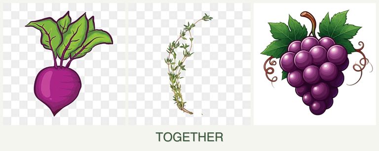 Can you plant beets, thyme and grapes together?