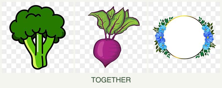 Can you plant broccoli, beets and zinnias together?