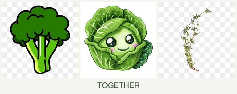 Can you plant broccoli, cabbage and thyme together?