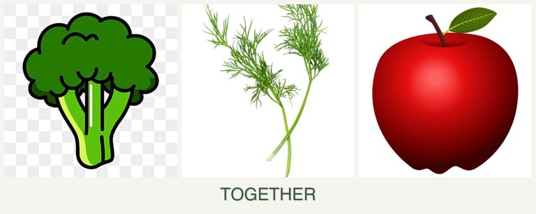 Can you plant broccoli, dill and apples together?