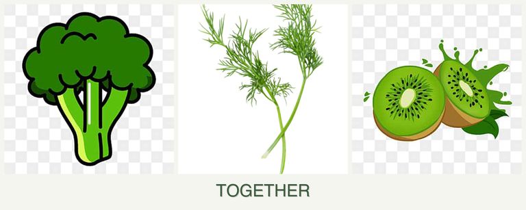 Can you plant broccoli, dill and kiwi together?