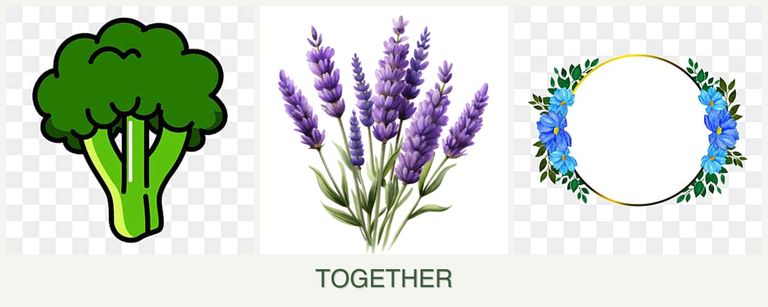 Can you plant broccoli, lavender and zinnias together?