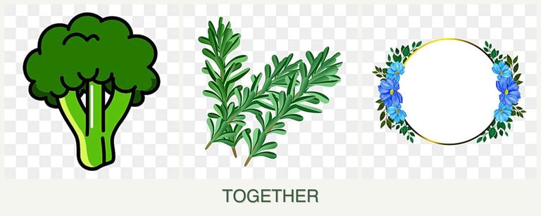 Can you plant broccoli, rosemary and zinnias together?