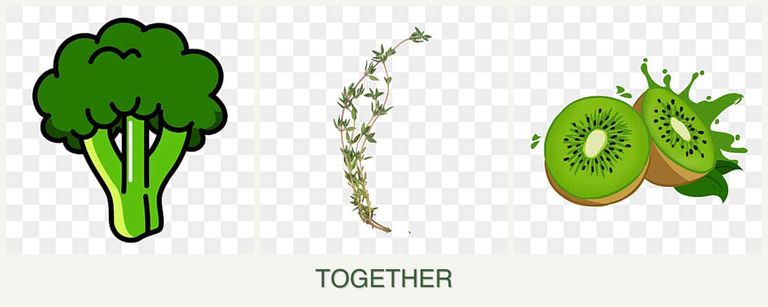 Can you plant broccoli, thyme and kiwi together?