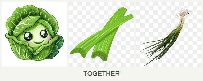 Can you plant cabbage, celery and chives together?