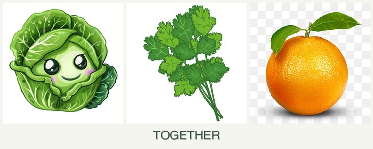 Can you plant cabbage, cilantro and oranges together?