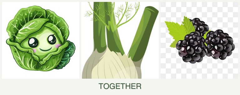 Can you plant cabbage, fennel and blackberries together?