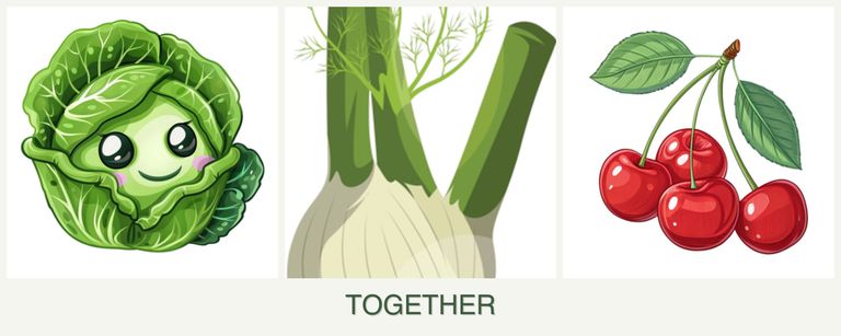 Can you plant cabbage, fennel and cherries together?