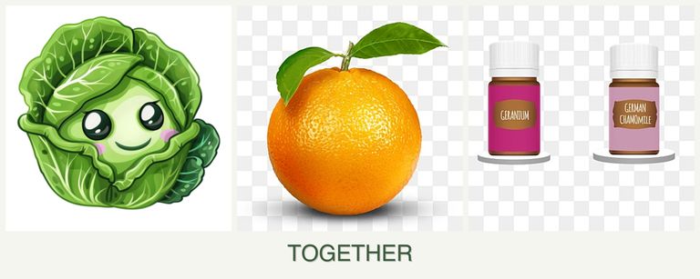 Can you plant cabbage, oranges and geraniums together?