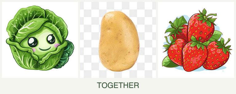 Can you plant cabbage, potatoes and strawberries together?