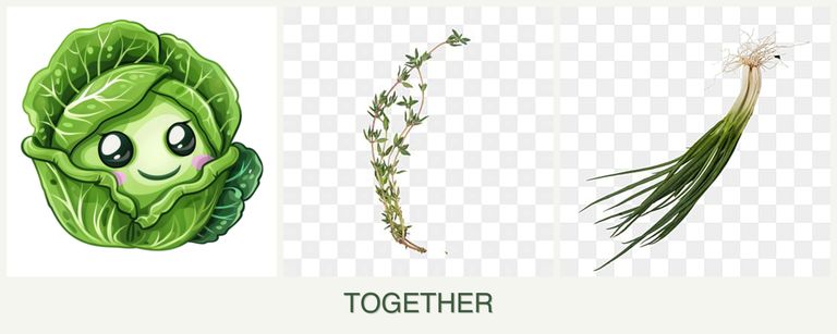 Can you plant cabbage, thyme and chives together?