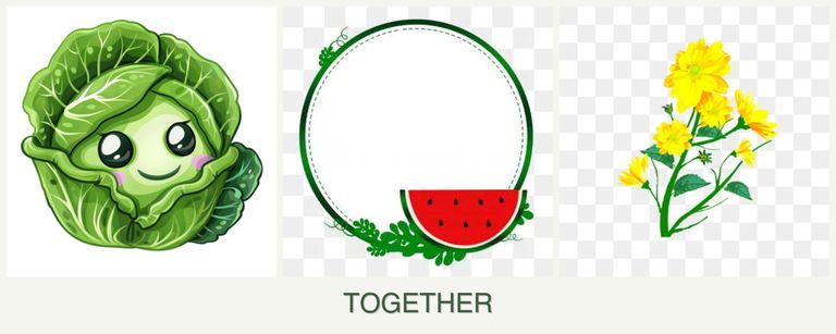 Can you plant cabbage, watermelons and calendula together?