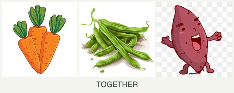 Can you plant carrots, beans and sweet potatoes together?