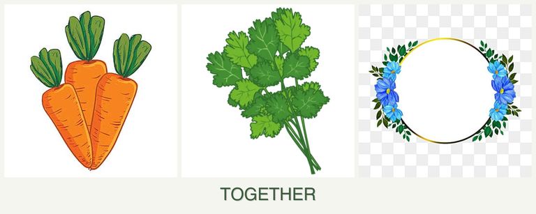 Can you plant carrots, cilantro and zinnias together?