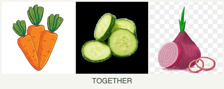 Can you plant carrots, cucumbers and onions together?