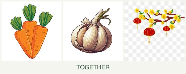 Can you plant carrots, garlic and apricots together?