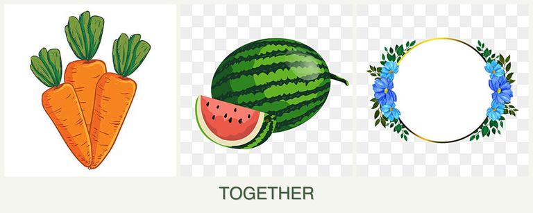 Can you plant carrots, melons and zinnias together?