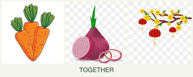 Can you plant carrots, onions and apricots together?