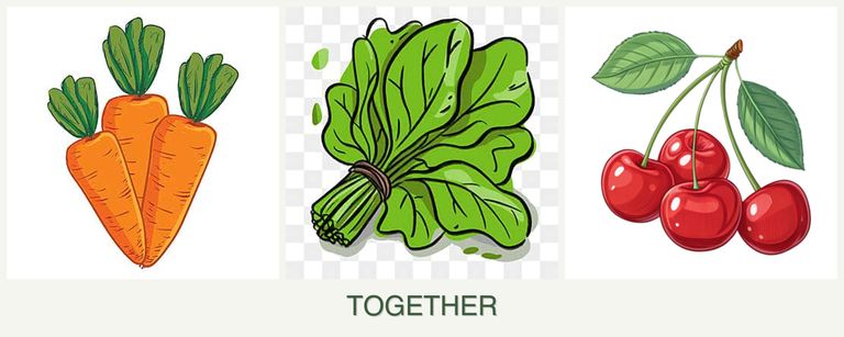 Can you plant carrots, spinach and cherries together?
