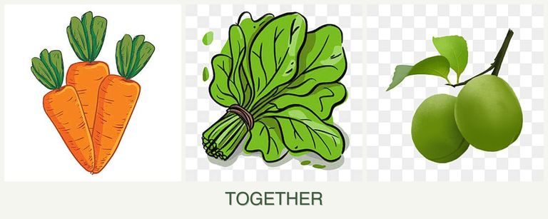 Can you plant carrots, spinach and plums together?