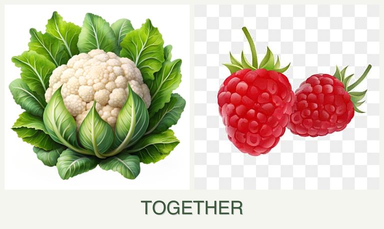 Can you plant cauliflower and raspberries together?