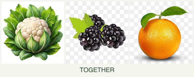 Can you plant cauliflower, blackberries and oranges together?