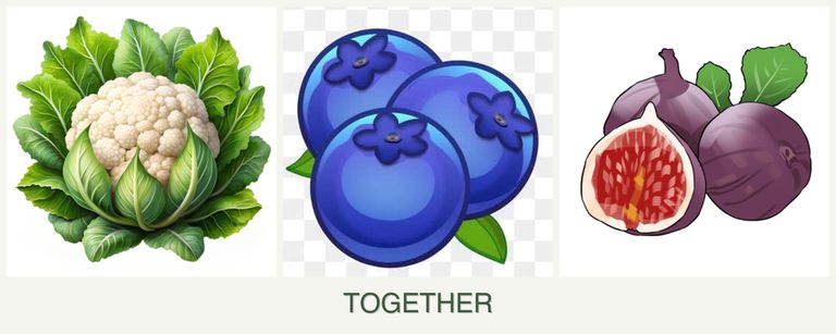 Can you plant cauliflower, blueberries and figs together?