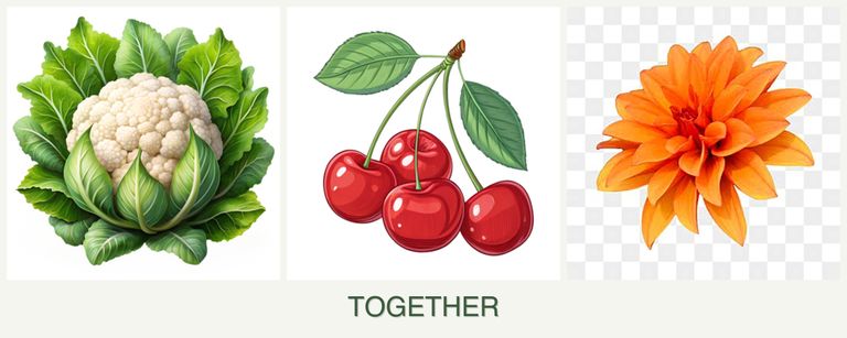 Can you plant cauliflower, cherries and dahlias together?