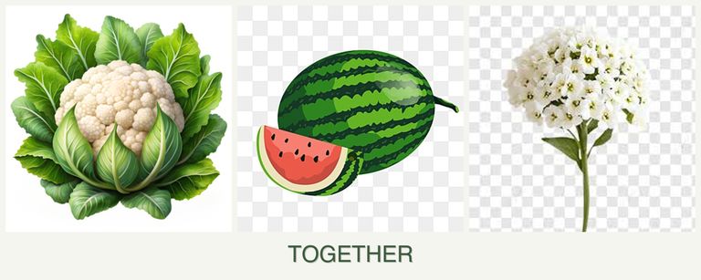 Can you plant cauliflower, melons and alyssum together?