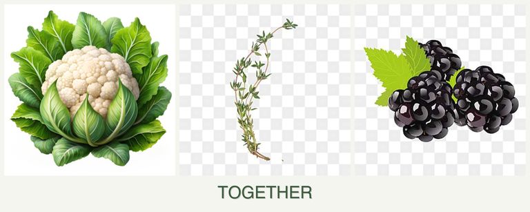Can you plant cauliflower, thyme and blackberries together?