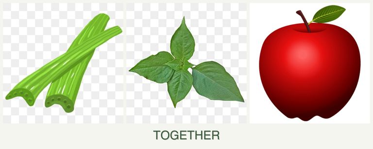 Can you plant celery, basil and apples together?