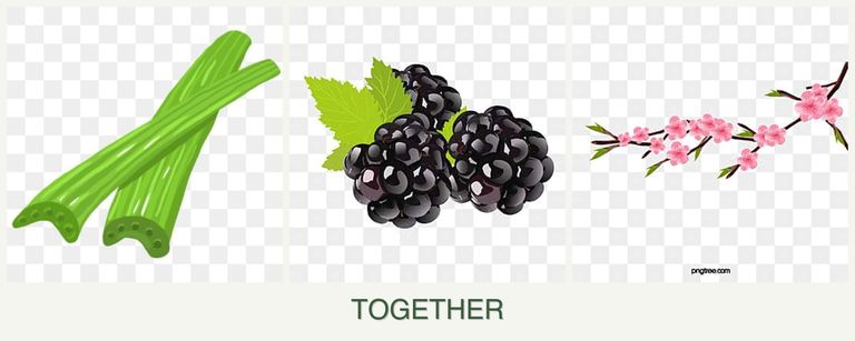 Can you plant celery, blackberries and peaches together?