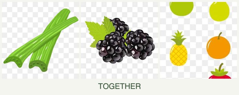 Can you plant celery, blackberries and pears together?