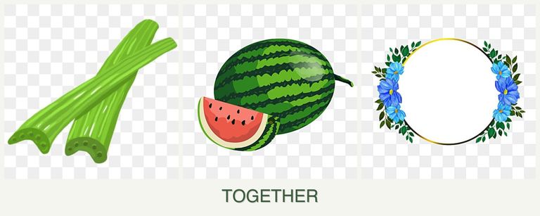 Can you plant celery, melons and zinnias together?