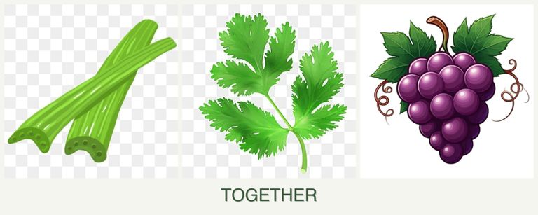 Can you plant celery, parsley and grapes together?