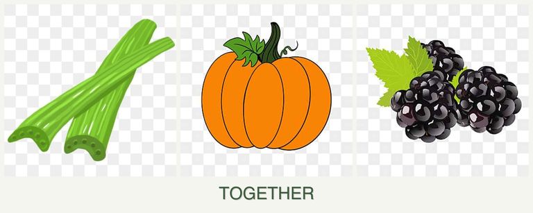 Can you plant celery, pumpkin and blackberries together?