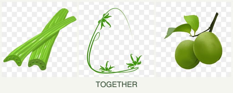 Can you plant celery, tarragon and plums together?
