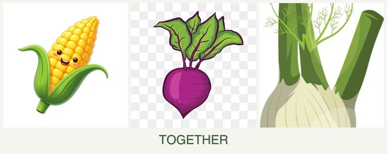 Can you plant corn, beets and fennel together?