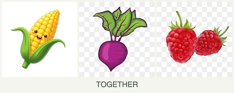 Can you plant corn, beets and raspberries together?