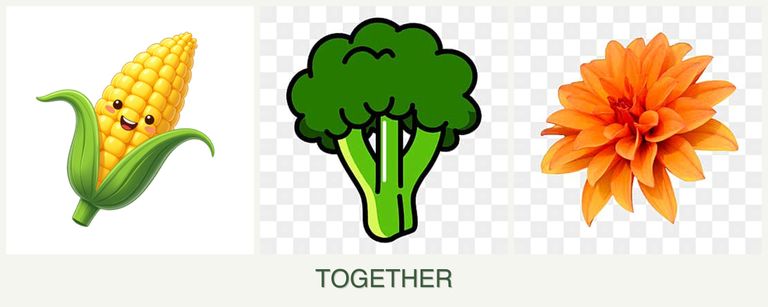 Can you plant corn, broccoli and dahlias together?