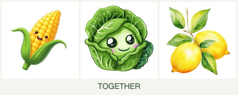 Can you plant corn, cabbage and lemons together?